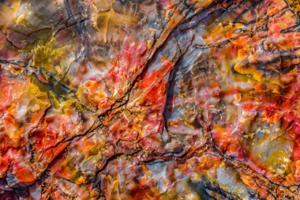 Picture of RED-BLUE-ORANGE PETRIFIED WOOD-VISITOR CENTER-PETRIFIED FOREST NATIONAL PARK-ARIZONA