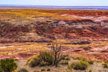 Picture of TAWA POINT-PAINTED DESERT-PETRIFIED FOREST NATIONAL PARK-ARIZONA