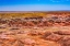 Picture of TAWA POINT-PAINTED DESERT-PETRIFIED FOREST NATIONAL PARK-ARIZONA