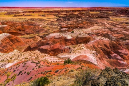 Picture of TAWA POINT-PAINTED DESERT-PETRIFIED FOREST NATIONAL PARK-ARIZONA