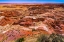 Picture of TAWA POINT-PAINTED DESERT-PETRIFIED FOREST NATIONAL PARK-ARIZONA