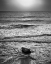 Picture of USA-CALIFORNIA-BIG SUR SUNSET AT GARRAPATA STATE BEACH