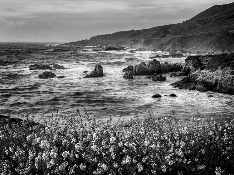 Picture of USA-CALIFORNIA-BIG SUR DUSK AND MUSTARD PLANTS AT SOBERANES COVE