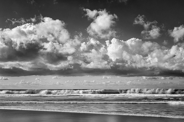 Picture of USA-CALIFORNIA-LA JOLLA WAVES AT LA JOLLA SHORES BEACH