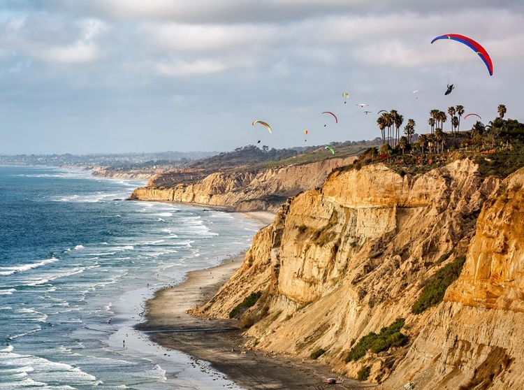 Picture of USA-CALIFORNIA-LA JOLLA PARAGLIDERS SOAR OVER BLACKS BEACH