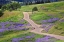 Picture of BALD HILLS ROAD THROUGH LUPINE FLOWERS-CALIFORNIA