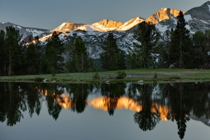 Picture of ALPINE TARN-TUOLUMNE MEADOWS SUNRISE-YOSEMITE NATIONAL PARK-CALIFORNIA