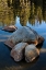 Picture of ROCKS IN TUOLUMNE RIVER-TUOLUMNE MEADOWS-YOSEMITE NATIONAL PARK-CALIFORNIA