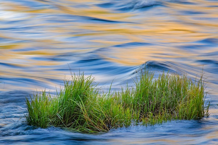 Picture of SUNSET REFLECTION ON MERCED RIVER-YOSEMITE NATIONAL PARK-CALIFORNIA