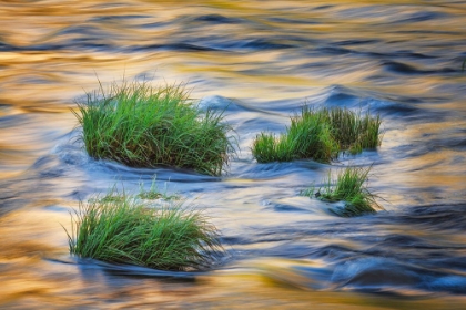 Picture of SUNSET REFLECTION ON MERCED RIVER-YOSEMITE NATIONAL PARK-CALIFORNIA