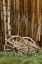 Picture of ABANDONED WOODEN WAGON-BODIE STATE HISTORIC PARK-CALIFORNIA