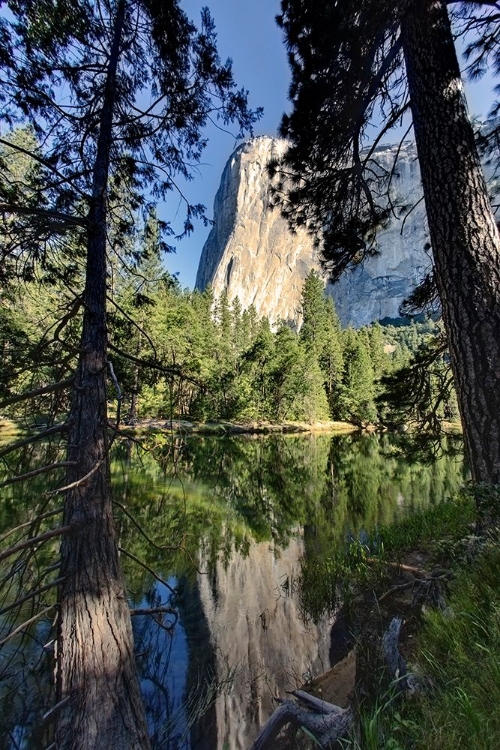 Picture of EL CAPITAN REFLECTED ON MERCED RIVER-YOSEMITE NATIONAL PARK-CALIFORNIA