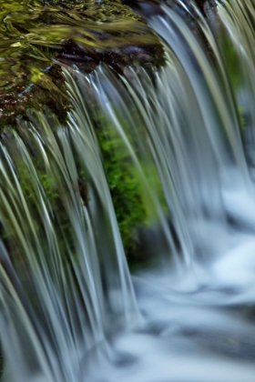 Picture of CASCADING WATER-FERN SPRING-YOSEMITE NATIONAL PARK-CALIFORNIA