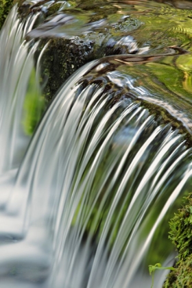 Picture of CASCADING WATER-FERN SPRING-YOSEMITE NATIONAL PARK-CALIFORNIA