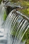 Picture of CASCADING WATER-FERN SPRING-YOSEMITE NATIONAL PARK-CALIFORNIA