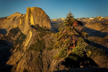 Picture of VIEW OF HALF DOME FROM GLACIER POINT AT SUNSET-YOSEMITE NATIONAL PARK-CALIFORNIA