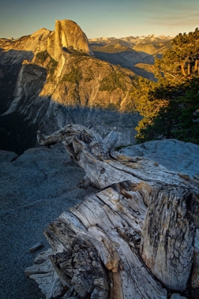 Picture of VIEW OF HALF DOME FROM GLACIER POINT AT SUNSET-YOSEMITE NATIONAL PARK-CALIFORNIA