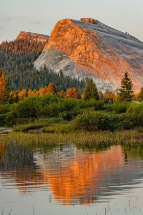 Picture of TUOLUMNE MEADOWS AND LEMBERT DOME REFLECTED IN TUOLUMNE RIVER
