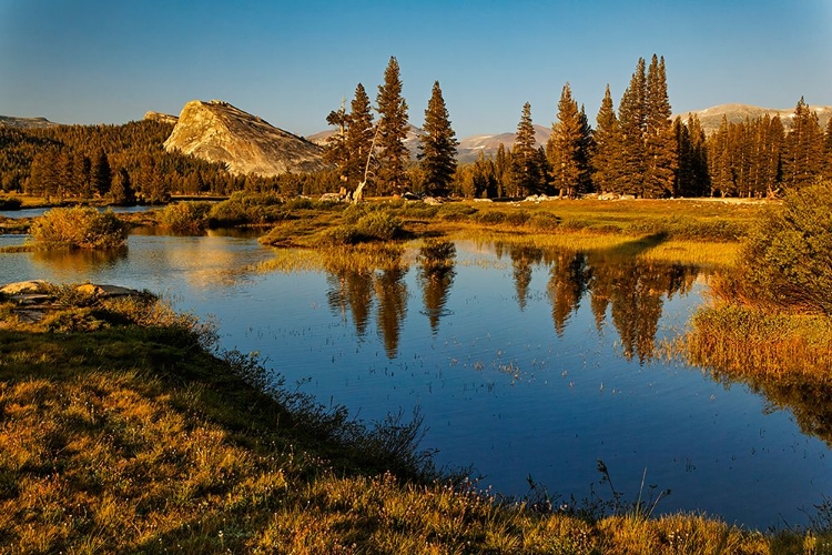 Picture of LEMBERT DOME REFLECTED ON TUOLUMNE RIVER AT SUNSET-YOSEMITE NATIONAL PARK-CALIFORNIA