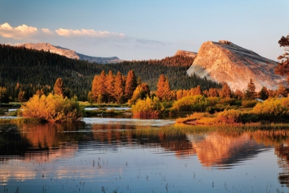 Picture of LEMBERT DOME REFLECTED ON TUOLUMNE RIVER AT SUNSET-YOSEMITE NATIONAL PARK-CALIFORNIA
