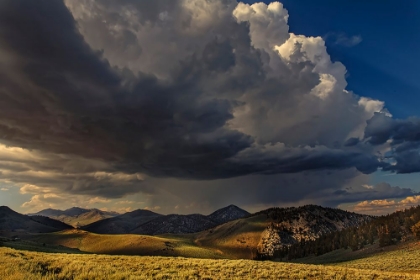 Picture of STORM CLOUDS ROLLING IN AT SUNSET-WHITE MOUNTAINS-INYO NATIONAL FOREST-CALIFORNIA