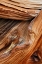 Picture of PATTERN IN WOOD OF BRISTLECONE PINE-WHITE MOUNTAINS-INYO NATIONAL FOREST-CALIFORNIA