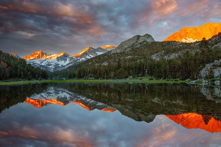 Picture of ALPINE TARN-TUOLUMNE MEADOWS SUNRISE-YOSEMITE NATIONAL PARK-CALIFORNIA