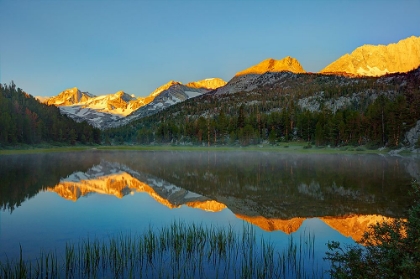 Picture of ALPINE TARN-TUOLUMNE MEADOWS SUNRISE-YOSEMITE NATIONAL PARK-CALIFORNIA