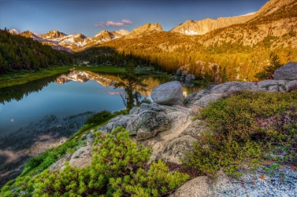 Picture of ALPINE TARN-TUOLUMNE MEADOWS SUNRISE-YOSEMITE NATIONAL PARK-CALIFORNIA