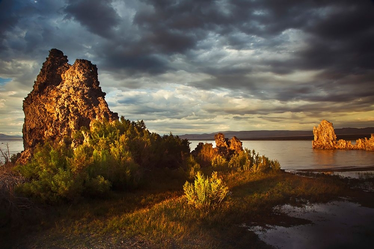 Picture of SUNRISE ON TUFA FORMATIONS-MONO LAKE-TUFA STATE NATURAL RESERVE-CALIFORNIA