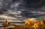 Picture of SUNSET LIGHT ON TUFA FORMATION-MONO LAKE-TUFA STATE NATURAL RESERVE-CALIFORNIA