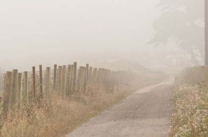 Picture of USA-CALIFORNIA FOG BLANKETS THIS DRIVEWAY AT POINT REYES