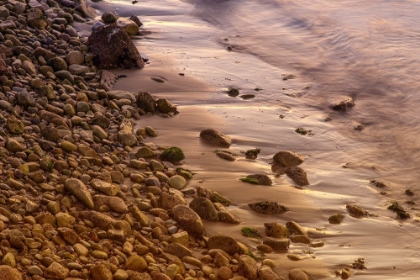 Picture of USA-CALIFORNIA THE HEADLANDS OF POINT REYES