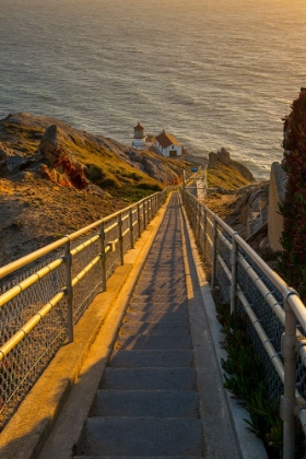 Picture of USA-CALIFORNIA HUNDREDS OF STAIRS LEAD DOWN TO POINT REYES LIGHTHOUSE