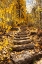 Picture of THESE STONE STAIRS BEHIND SORENSENS RESORT (NOW WYLDER HOTEL)