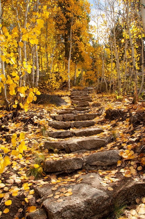 Picture of THESE STONE STAIRS BEHIND SORENSENS RESORT (NOW WYLDER HOTEL)