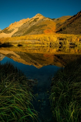 Picture of USA-CALIFORNIA-SIERRA NEVADA MORNING SUN LIGHTS UP NORTH LAKE AND THE GOLDEN ASPENS BEYOND