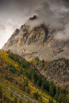 Picture of USA-CALIFORNIA-SIERRA NEVADA MIGHTY PEAKS IN THE LUNDY LAKE AREA IN FALL