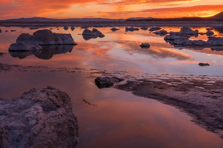 Picture of USA-CALIFORNIA-SIERRA NEVADA MONO LAKE