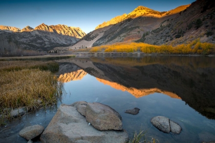 Picture of USA-CALIFORNIA-SIERRA NEVADA ON A FREEZING AUTUMN MORNING-NORTH LAKE GLOWS WITH ASPEN COLORS