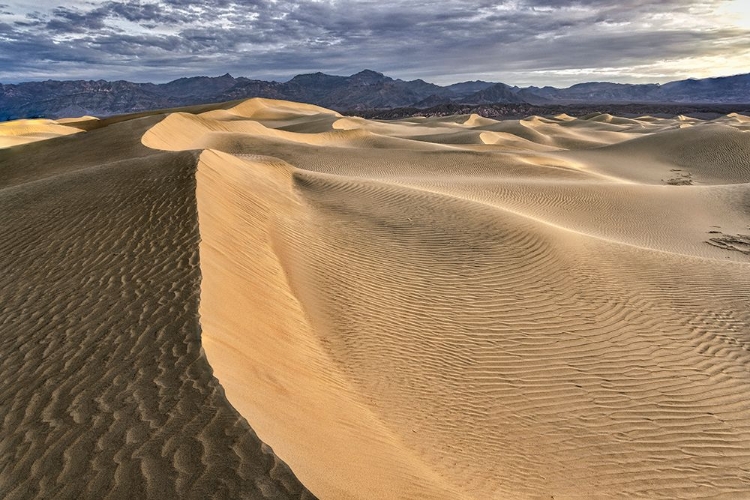 Picture of MESQUITE DUNES-DEATH VALLEY NATIONAL PARK-CALIFORNIA