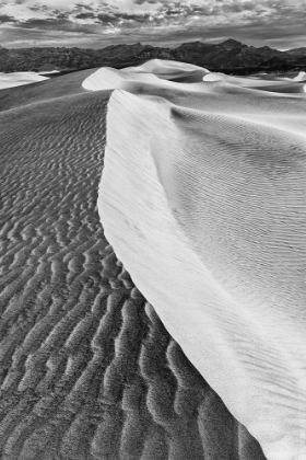 Picture of MESQUITE DUNES-DEATH VALLEY NATIONAL PARK-CALIFORNIA