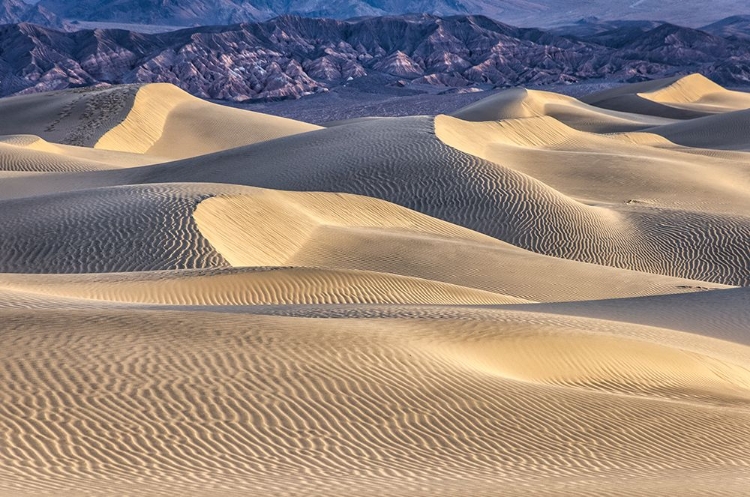 Picture of MESQUITE DUNES-DEATH VALLEY NATIONAL PARK-CALIFORNIA