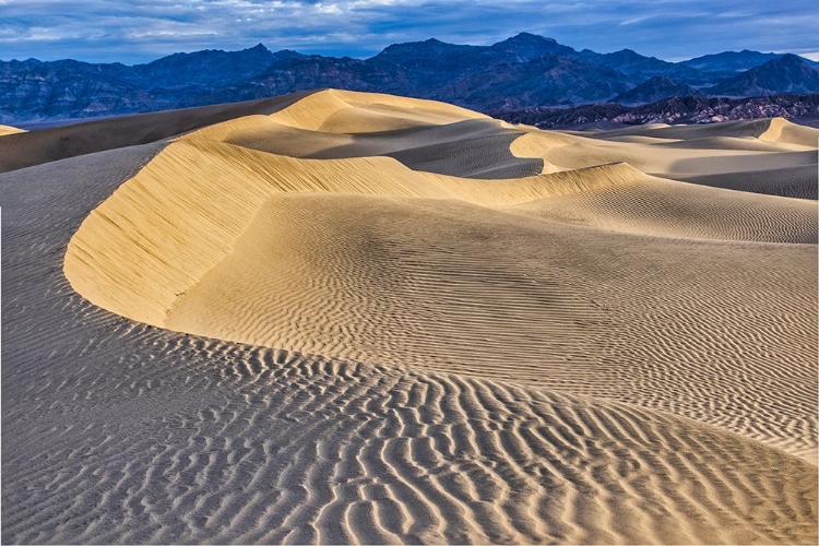 Picture of MESQUITE DUNES-DEATH VALLEY NATIONAL PARK-CALIFORNIA