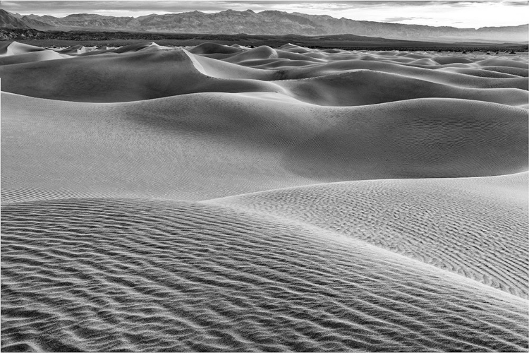 Picture of MESQUITE DUNES-DEATH VALLEY NATIONAL PARK-CALIFORNIA