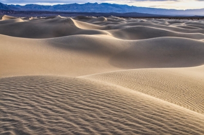 Picture of MESQUITE DUNES-DEATH VALLEY NATIONAL PARK-CALIFORNIA