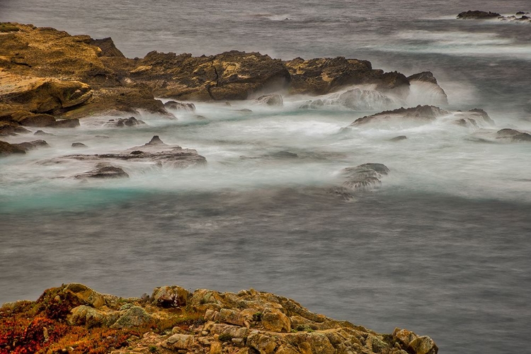 Picture of POINT LOBOS-CARMEL-CALIFORNIA