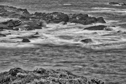 Picture of POINT LOBOS-CARMEL-CALIFORNIA