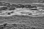 Picture of POINT LOBOS-CARMEL-CALIFORNIA