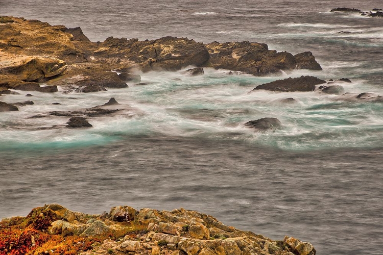 Picture of POINT LOBOS-CARMEL-CALIFORNIA